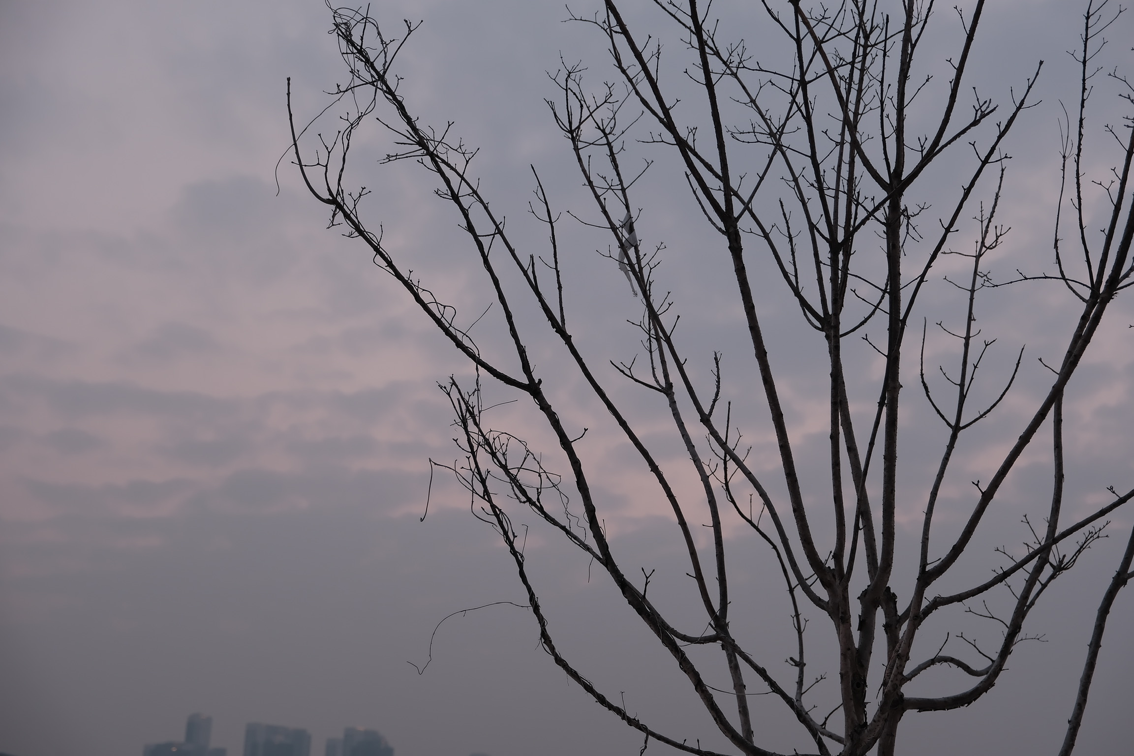 Seoul #3